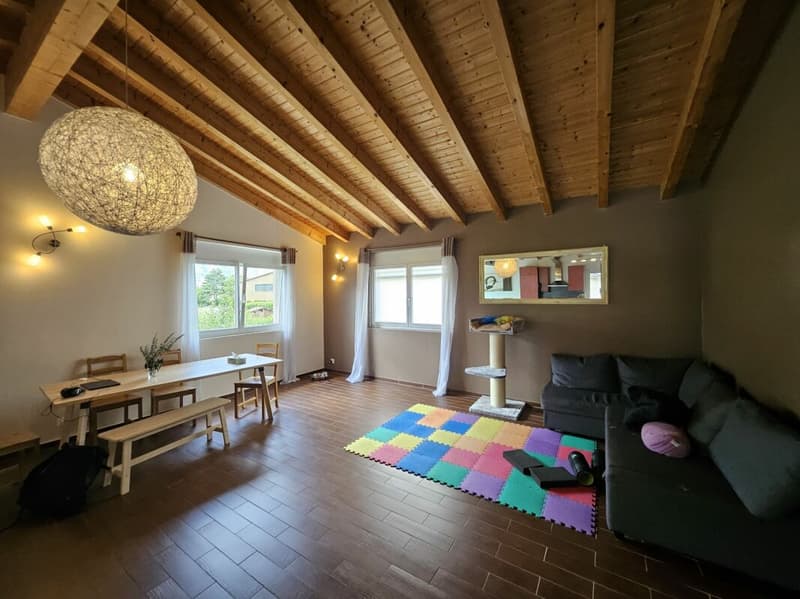 Prächtige 5.5-Zimmer-Wohnung (6)