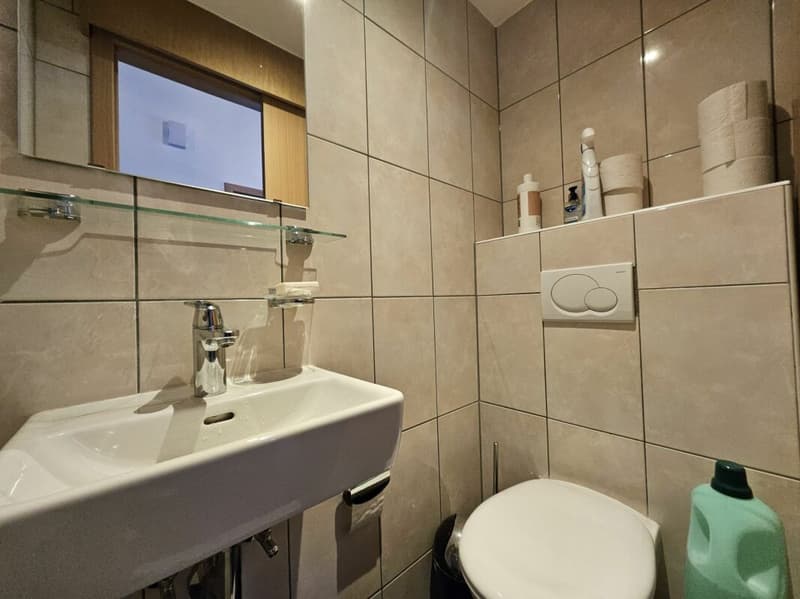 Prächtige 5.5-Zimmer-Wohnung (11)