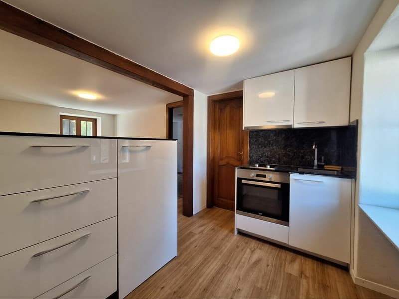 Zweizimmerwohnung (1)