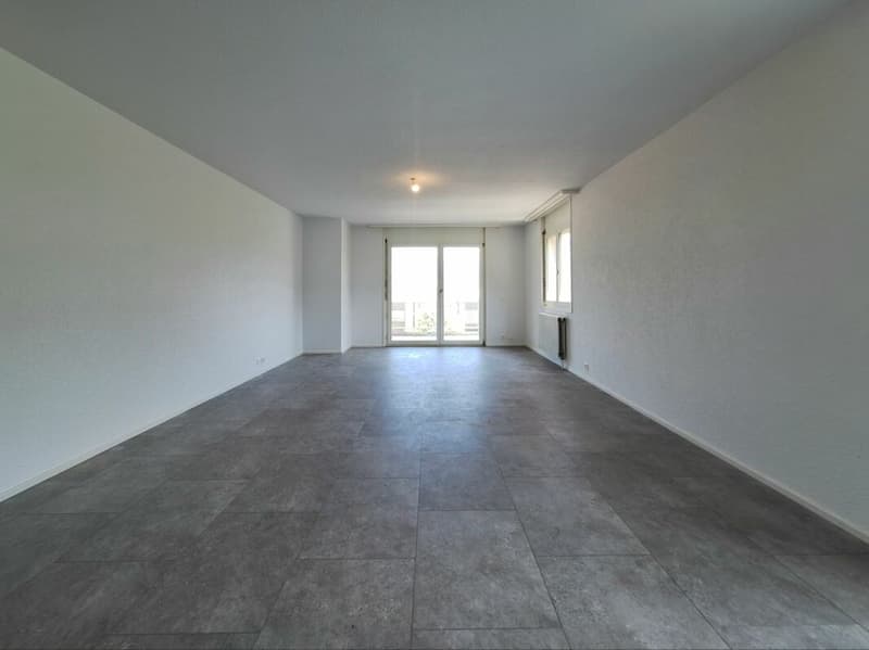Beautiful 4.5-room apartment completely renovated in Collombey-Muraz (6)
