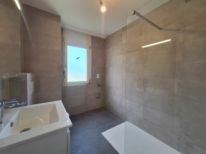 Beautiful 4.5-room apartment completely renovated in Collombey-Muraz (14)