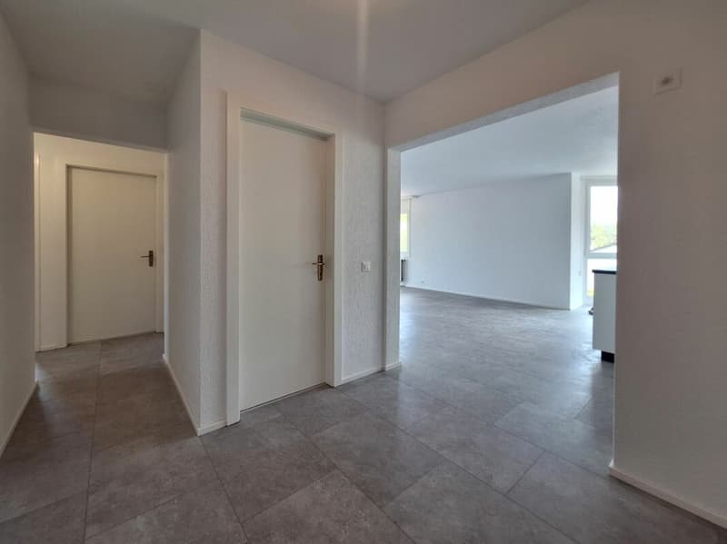 Beautiful 4.5-room apartment completely renovated in Collombey-Muraz (7)