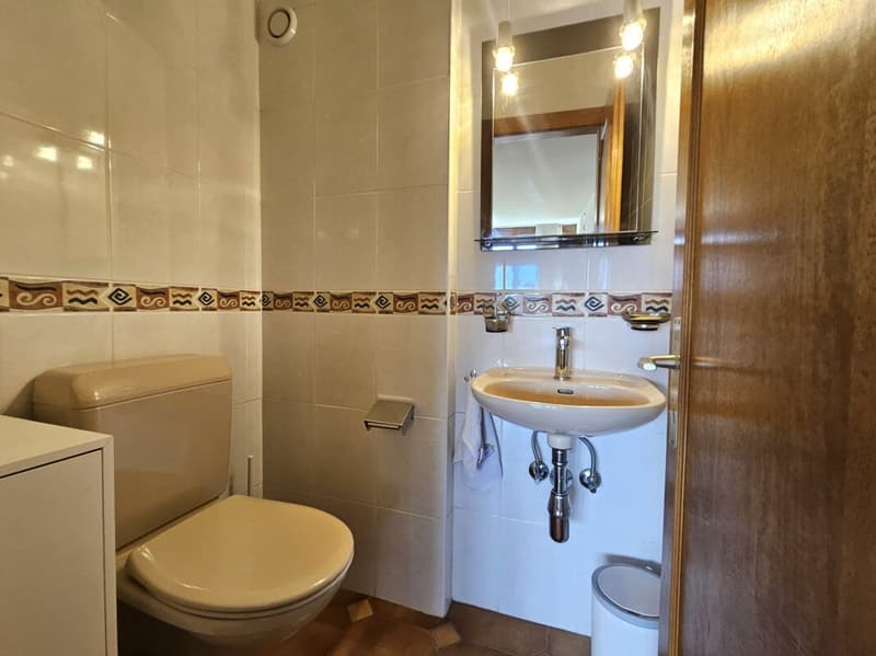 Magnifique appartement meublé de 4.5 pièces à Leytron (11)
