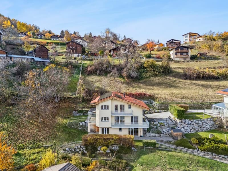 Magnifique maison individuelle à Vex (1)
