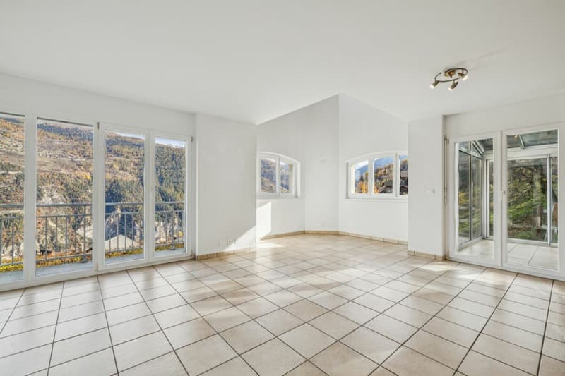 Magnifique maison individuelle à Vex (6)