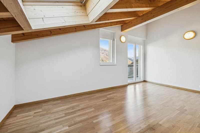Magnifique maison individuelle à Vex (11)