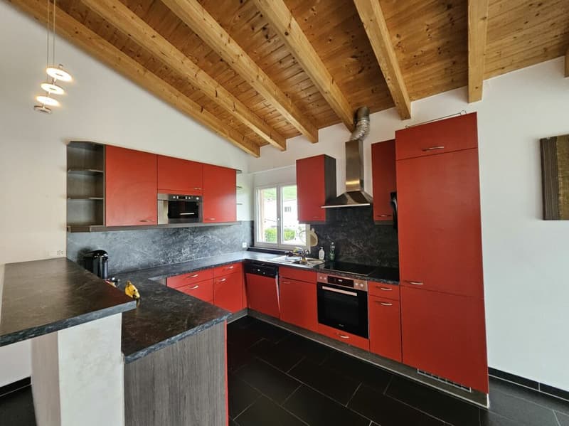 Magnifique appartement de 5.5 pièces (2)