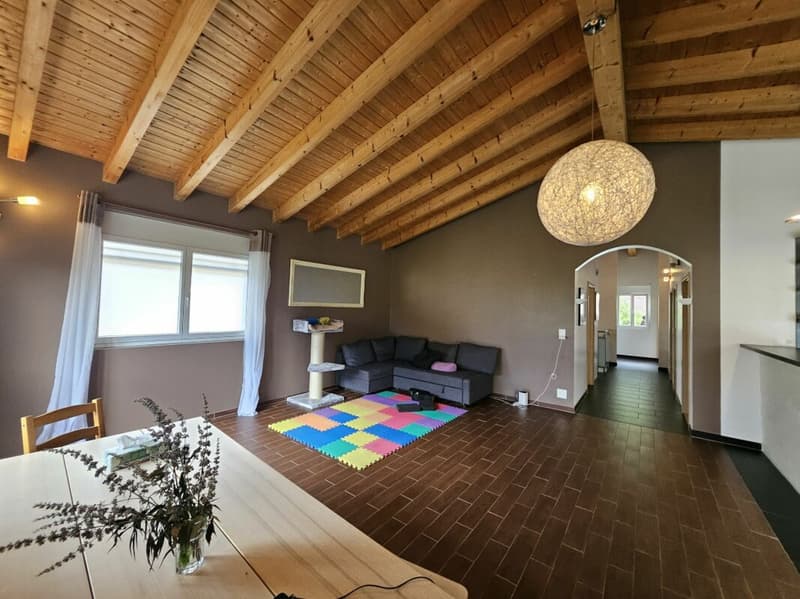 Magnifique appartement de 5.5 pièces (5)
