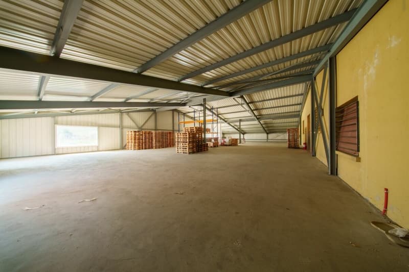 Halle commerciale à vendre (10)
