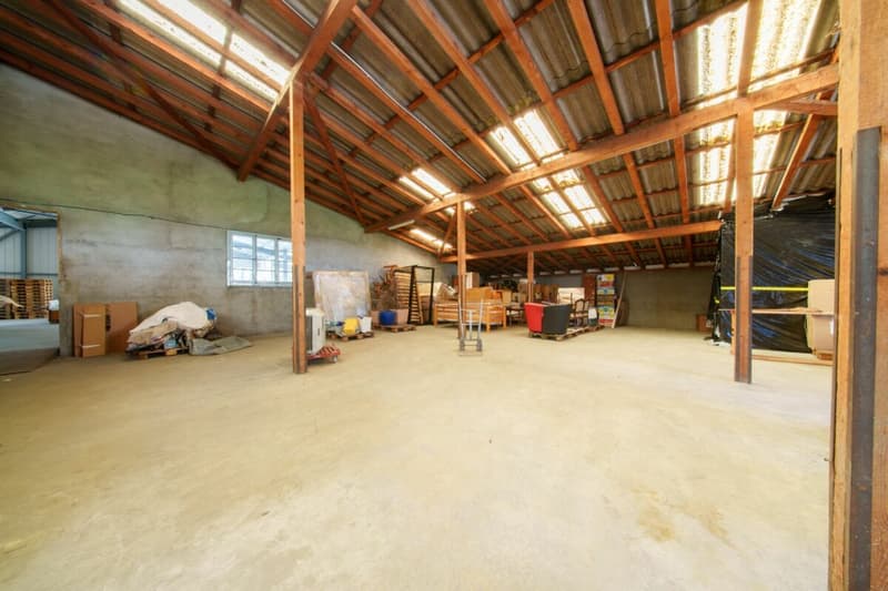 Halle commerciale à vendre (15)
