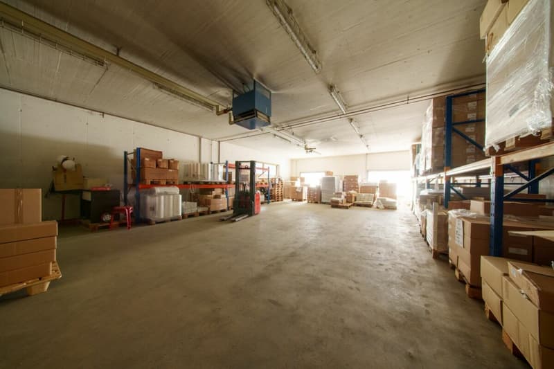 Halle commerciale à vendre (18)