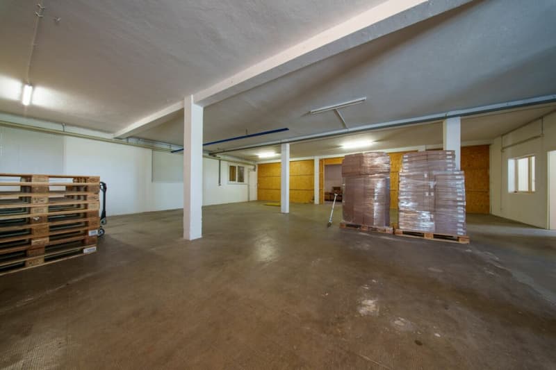 Halle commerciale à vendre (19)