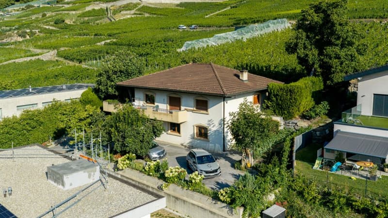 Une maison pleine de potentiel sur le coteau de Fully (1)