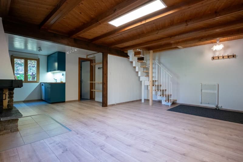 Magnifique chalet de 4.5 pièces à Gueuroz (2)