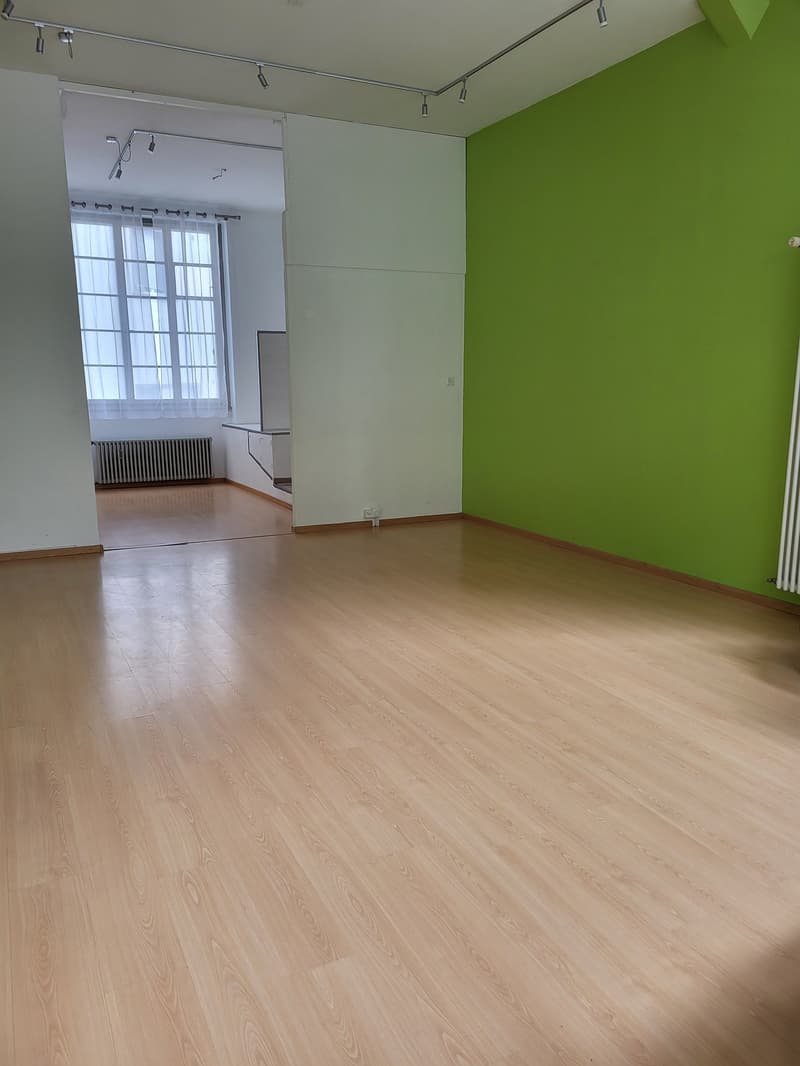 Open layout, large room, light wood floors, green wall, large windows, white walls, track lighting, radiator.