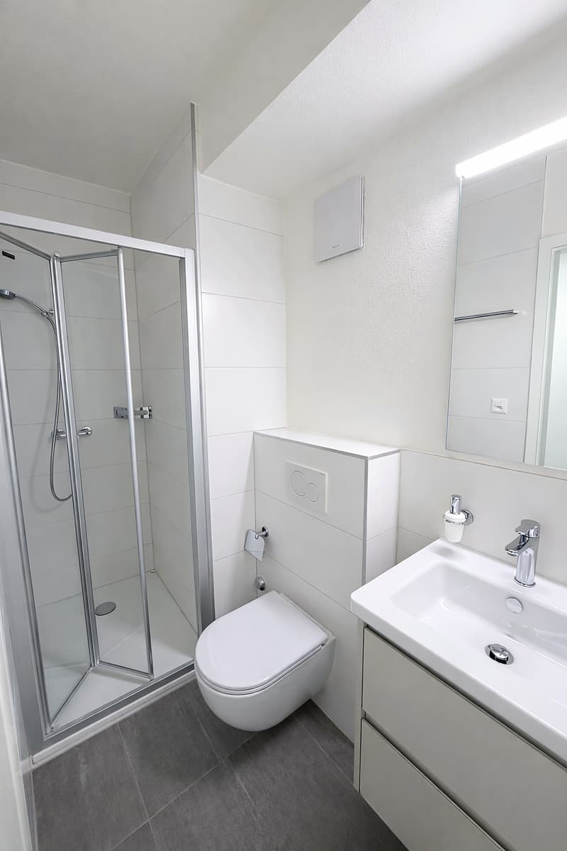 Appartement 4.5 pièces rénové au cœur de Sierre (6)