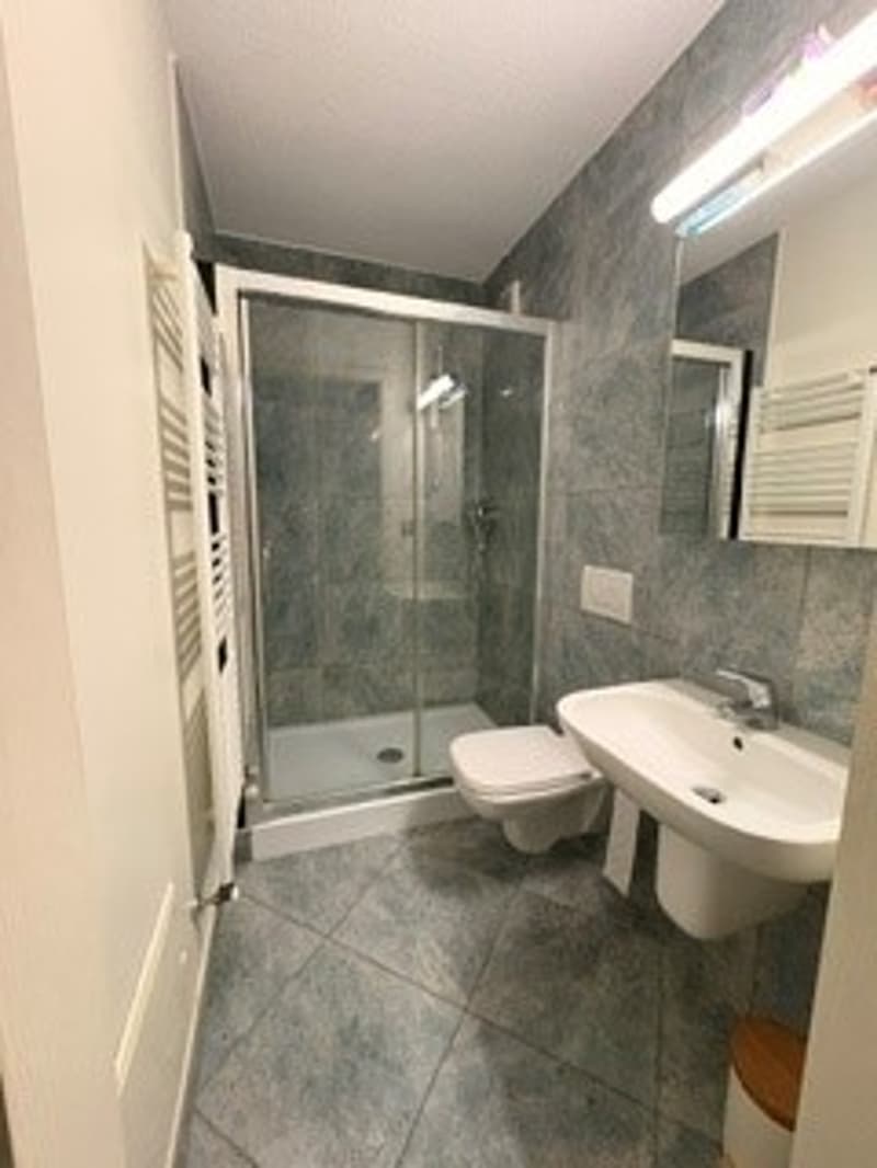 Appartement lumineux de 2 pièces à louer (reprise de bail) (3)