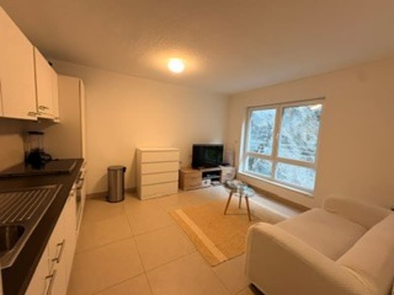 Appartement lumineux de 2 pièces à louer (reprise de bail) (2)