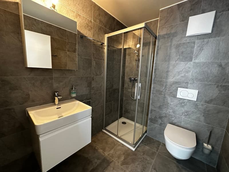 Vionnaz – Magnifique appartement 3.5 pièces – Attique (2)