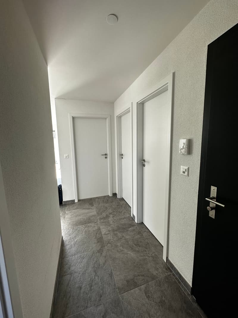 Vionnaz – Magnifique appartement 3.5 pièces – Attique (6)
