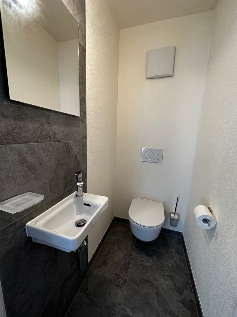 Vionnaz – Magnifique appartement 3.5 pièces – Attique (3)
