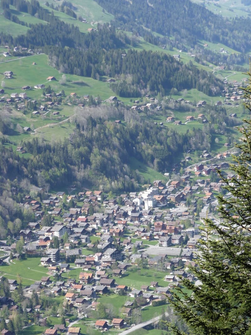 Beautiful 903 m2 plot to build above the village of Champéry (2)