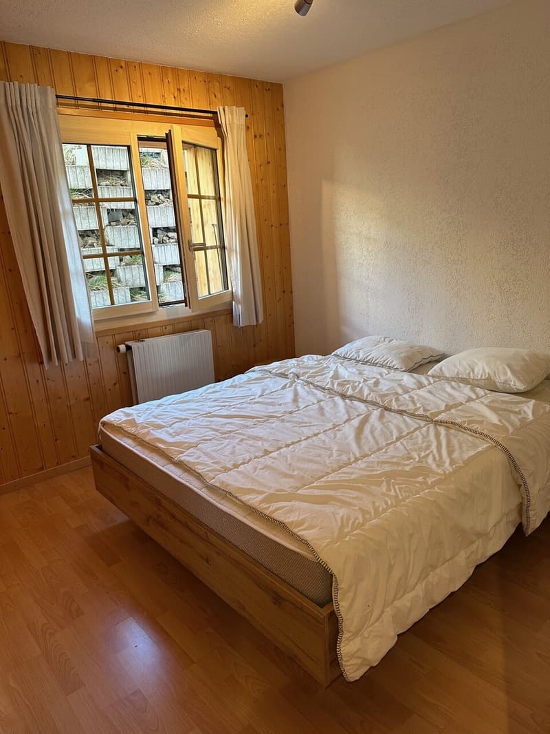 Magnificent Renovated 3 1/2 Room Apartment in Les Crosets, Valais (5)