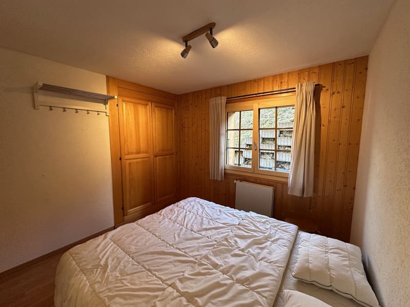 Magnificent Renovated 3 1/2 Room Apartment in Les Crosets, Valais (4)