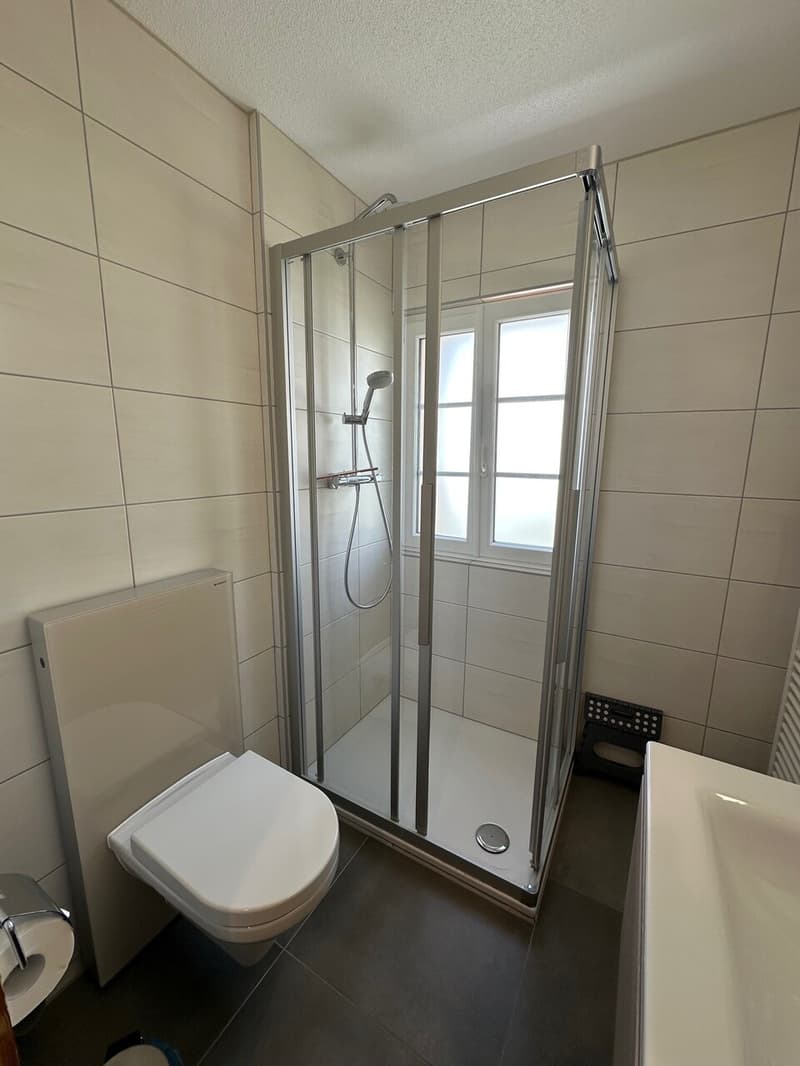 Magnificent Renovated 3 1/2 Room Apartment in Les Crosets, Valais (10)