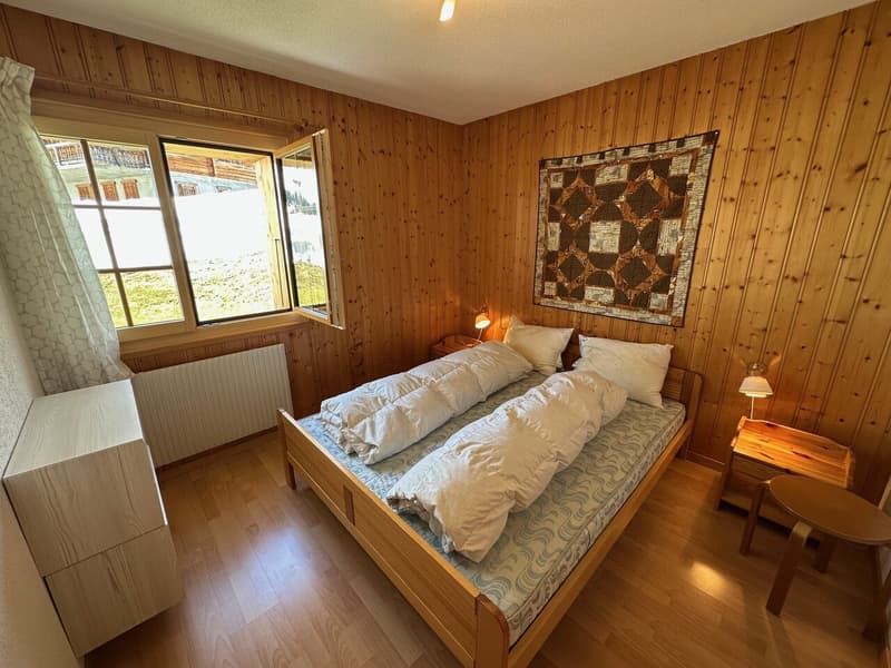Magnificent Renovated 3 1/2 Room Apartment in Les Crosets, Valais (2)