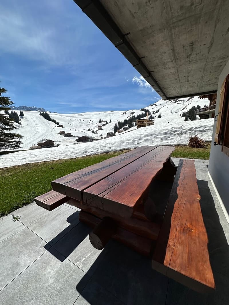 Magnificent Renovated 3 1/2 Room Apartment in Les Crosets, Valais (13)
