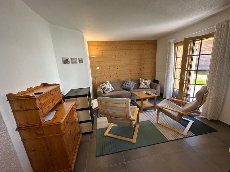 Magnificent Renovated 3 1/2 Room Apartment in Les Crosets, Valais (6)