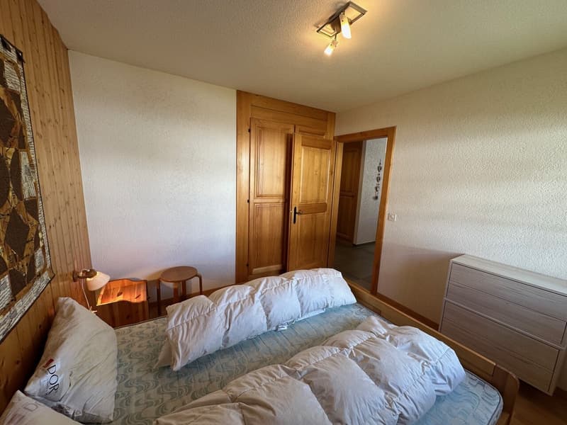 Magnificent Renovated 3 1/2 Room Apartment in Les Crosets, Valais (3)