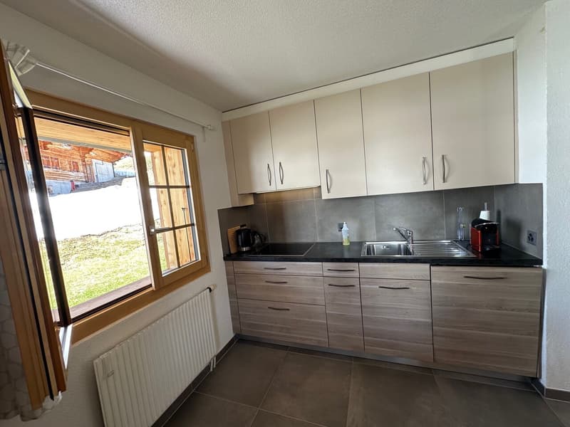 Magnificent Renovated 3 1/2 Room Apartment in Les Crosets, Valais (7)