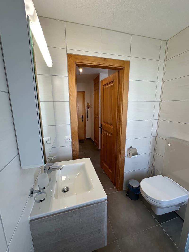 Magnificent Renovated 3 1/2 Room Apartment in Les Crosets, Valais (9)