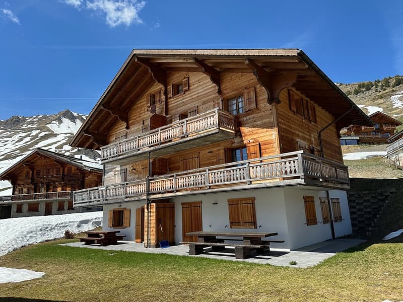 Magnificent Renovated 3 1/2 Room Apartment in Les Crosets, Valais (1)