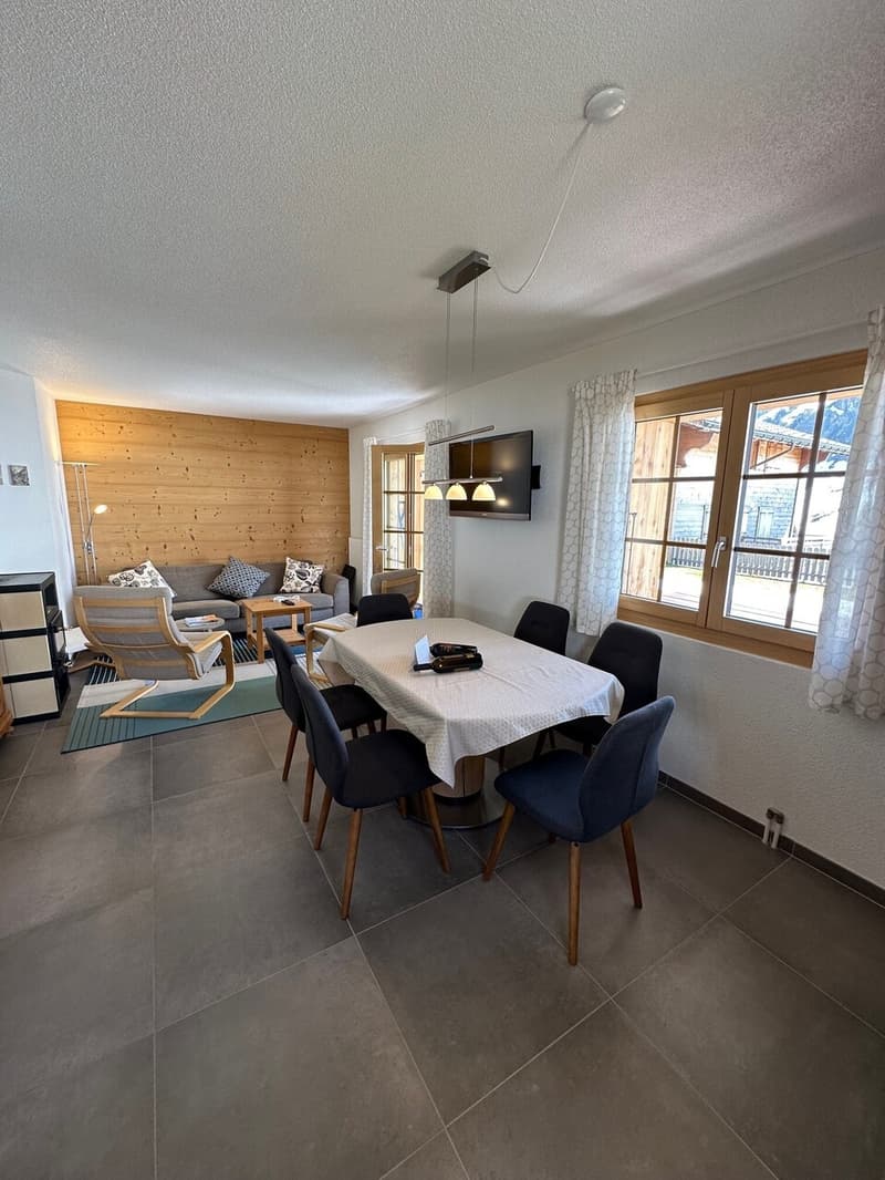 Magnificent Renovated 3 1/2 Room Apartment in Les Crosets, Valais (8)