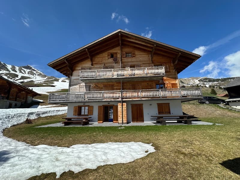 Magnificent Renovated 3 1/2 Room Apartment in Les Crosets, Valais (12)