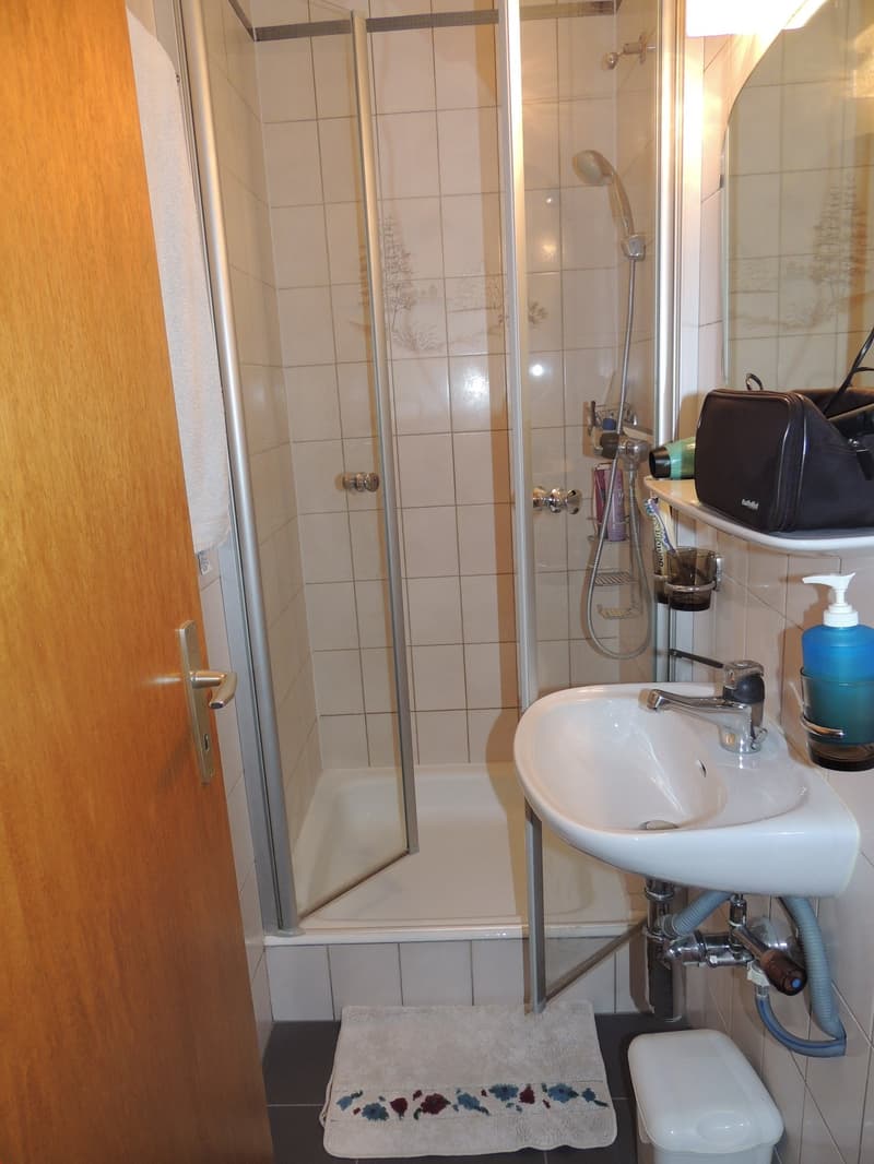 Splendido appartamento di 4.5 locali con veranda chiusa (9)