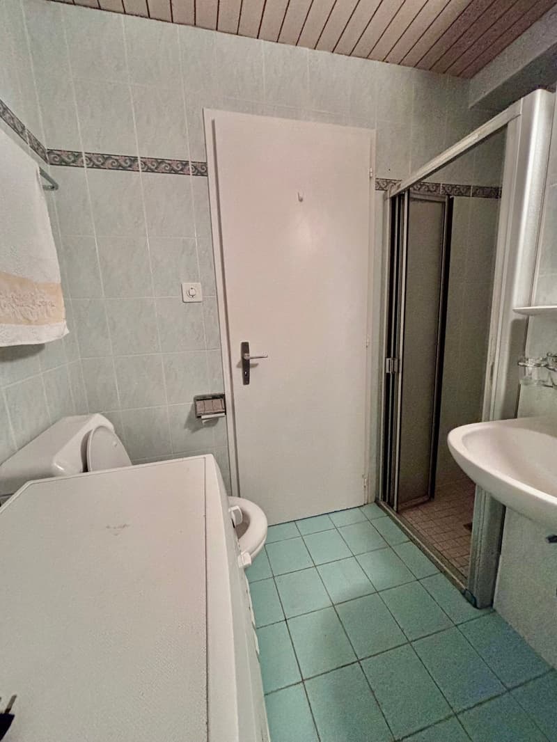 Charming and spacious 3.5-room ground floor apartment (7)