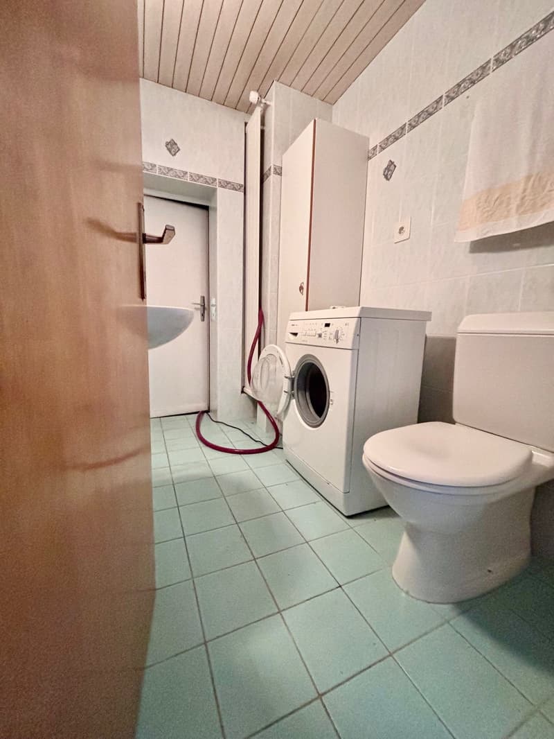 Charming and spacious 3.5-room ground floor apartment (8)