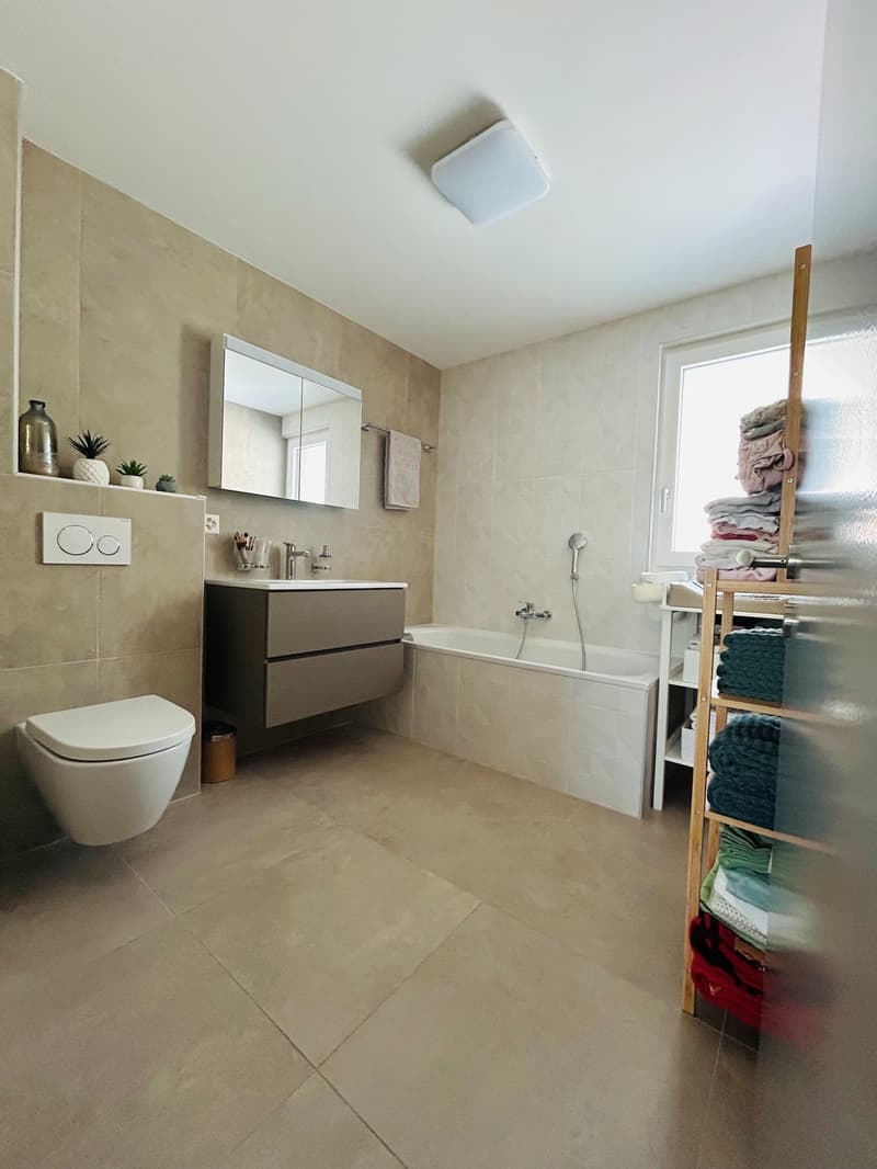 Splendide appartement NEUF de 4.5 pièces moderne à Fully (10)