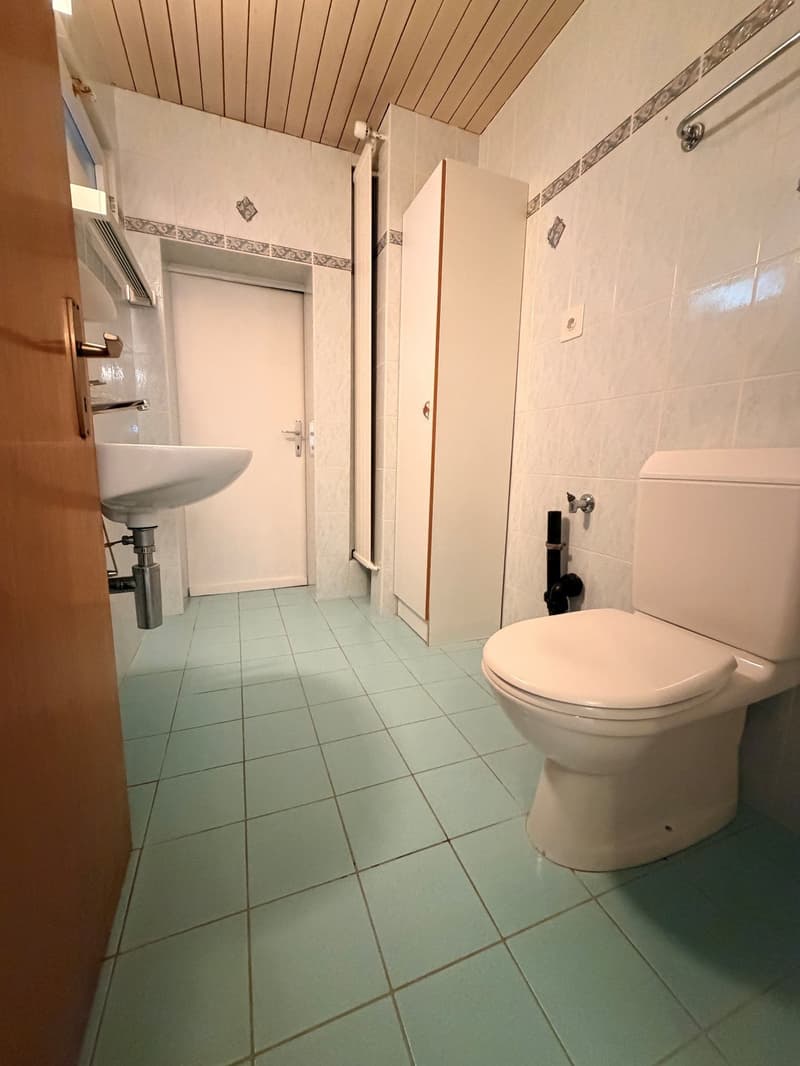 Grand appartement de 3.5 pièces au rez-de-chaussée (6)