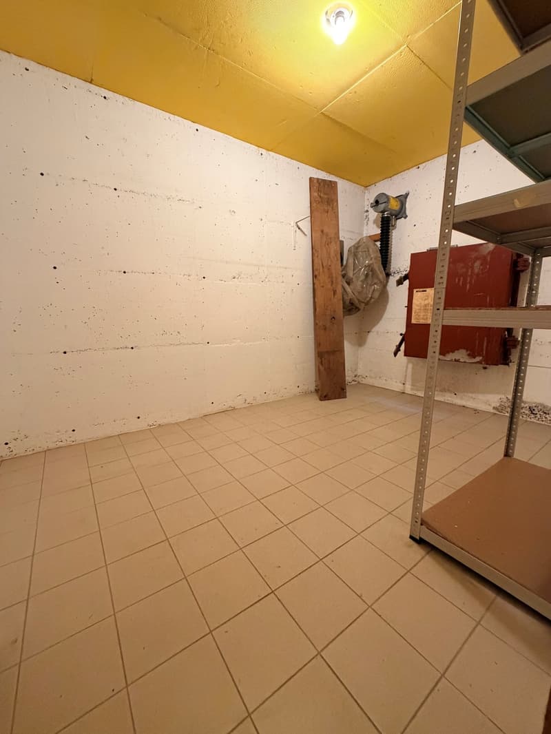 Grand appartement de 3.5 pièces au rez-de-chaussée (8)