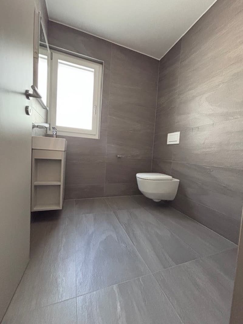 Appartement NEUF de 4.5 pièces au 2ème étage (10)