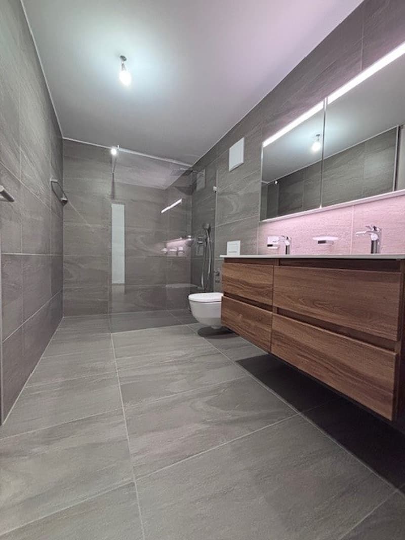 Appartement NEUF de 4.5 pièces au 2ème étage (8)