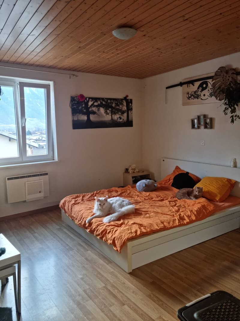 Appartement 3 pièces 1/2 à louer à Fully (3)
