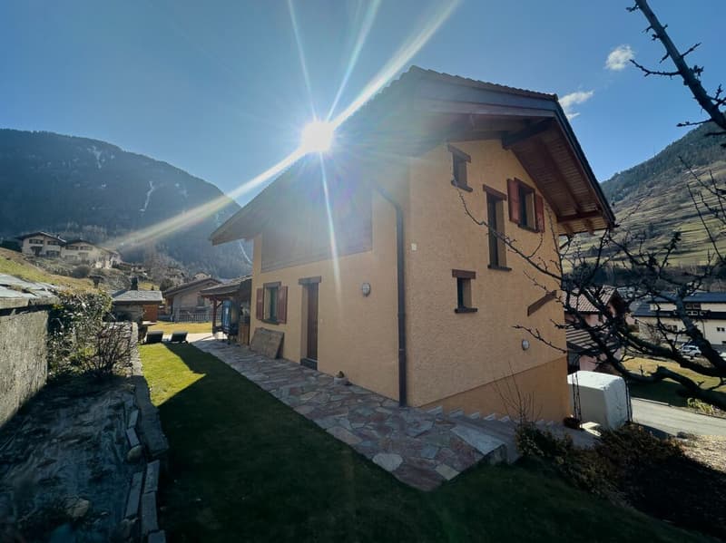 Beautiful renovated house (21)