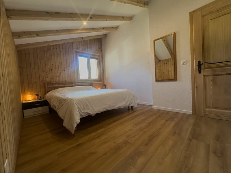 Beautiful renovated house (13)