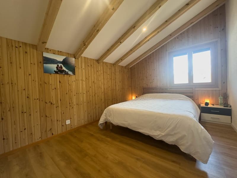 Beautiful renovated house (14)